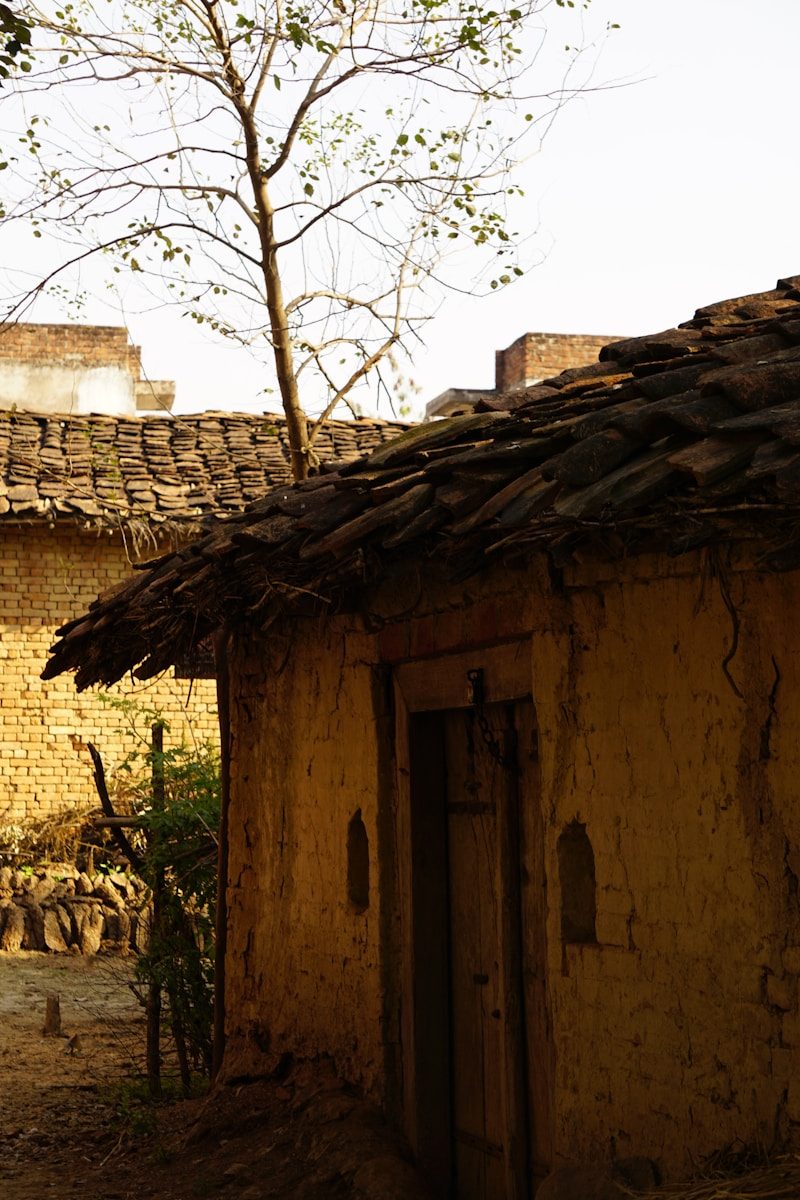 a small building with a tree in front of it